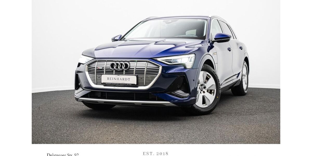 Audi e-tron 74.175 km 29.990 &euro; Hagen 58091