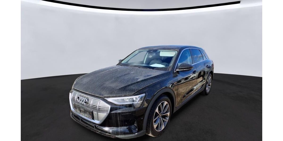 Audi e-tron 49.999 km 25.840 &euro; Hagen 58091