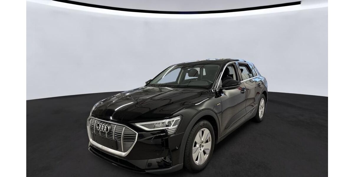 Audi e-tron 29.529 km 26.425 &euro; Hagen 58091