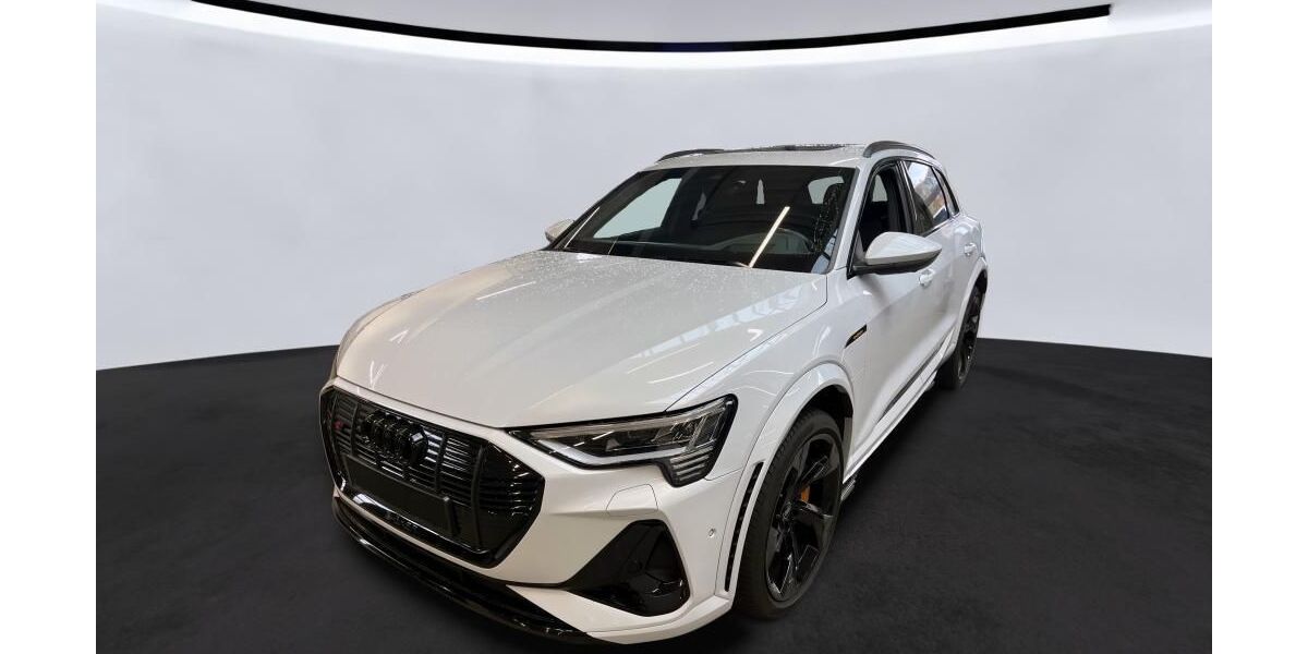 Audi e-tron 77.349 km 41.340 &euro; Hagen 58091